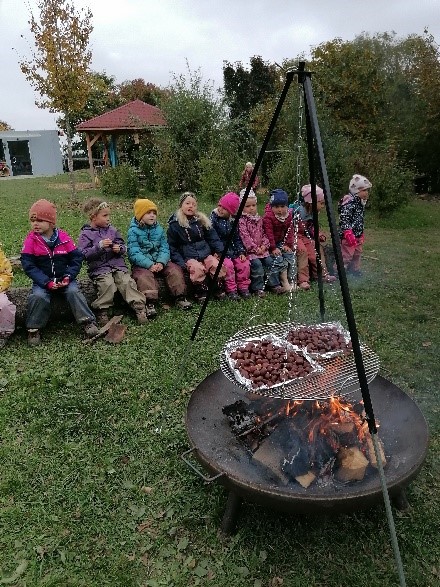 Vilstalfrösche Maronen