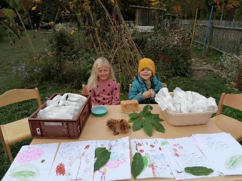 Vilstalfrösche MAronen 1 Vilstalfrösche MAronen 1