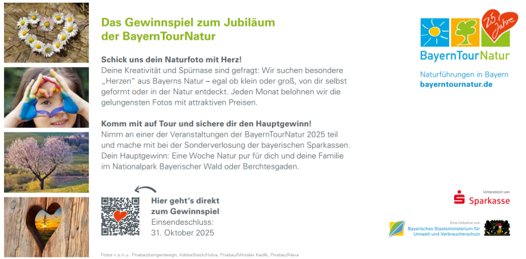 Bayerntournatur Seite 2